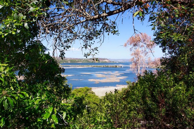 0 Bedroom Property for Sale in Westford Bridge Western Cape